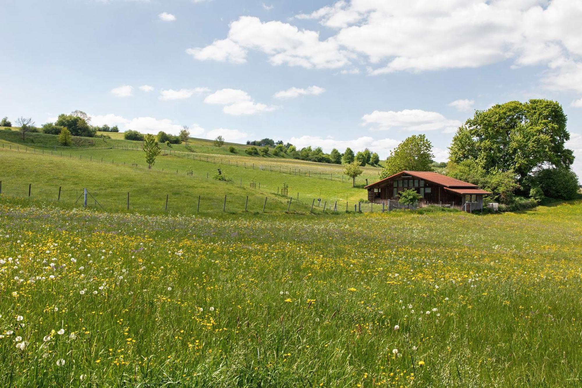 Ferienwohnung Emilia, 36Qm Мюнзінґен Екстер'єр фото